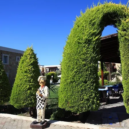 Apartahotel Aktur Apart